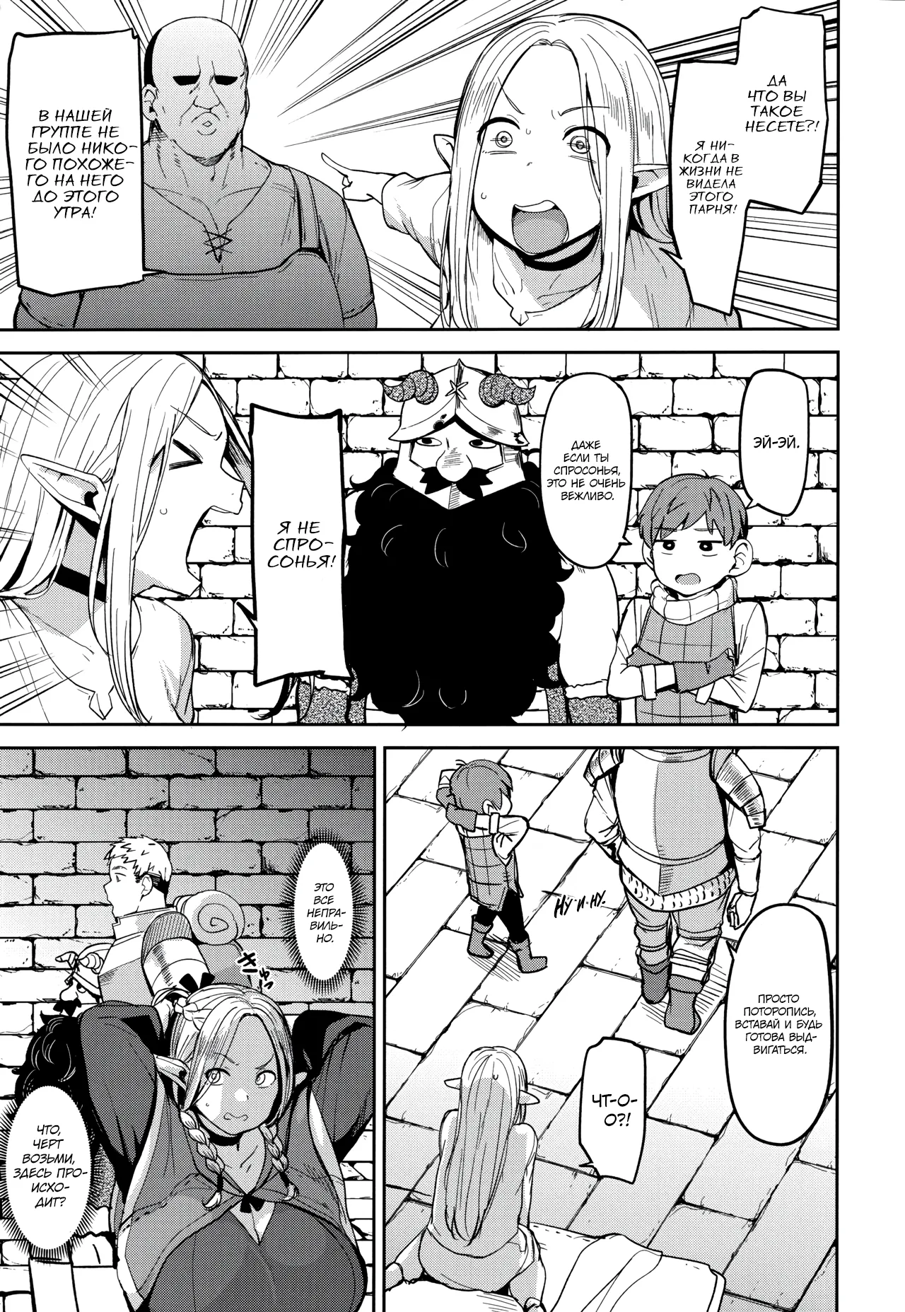 (C106) [North70 (Nanao Yukiji)] Chin Ochi Donkusa Elf (Dungeon Meshi) [Russian] [Turb1nka] 图片编号 4