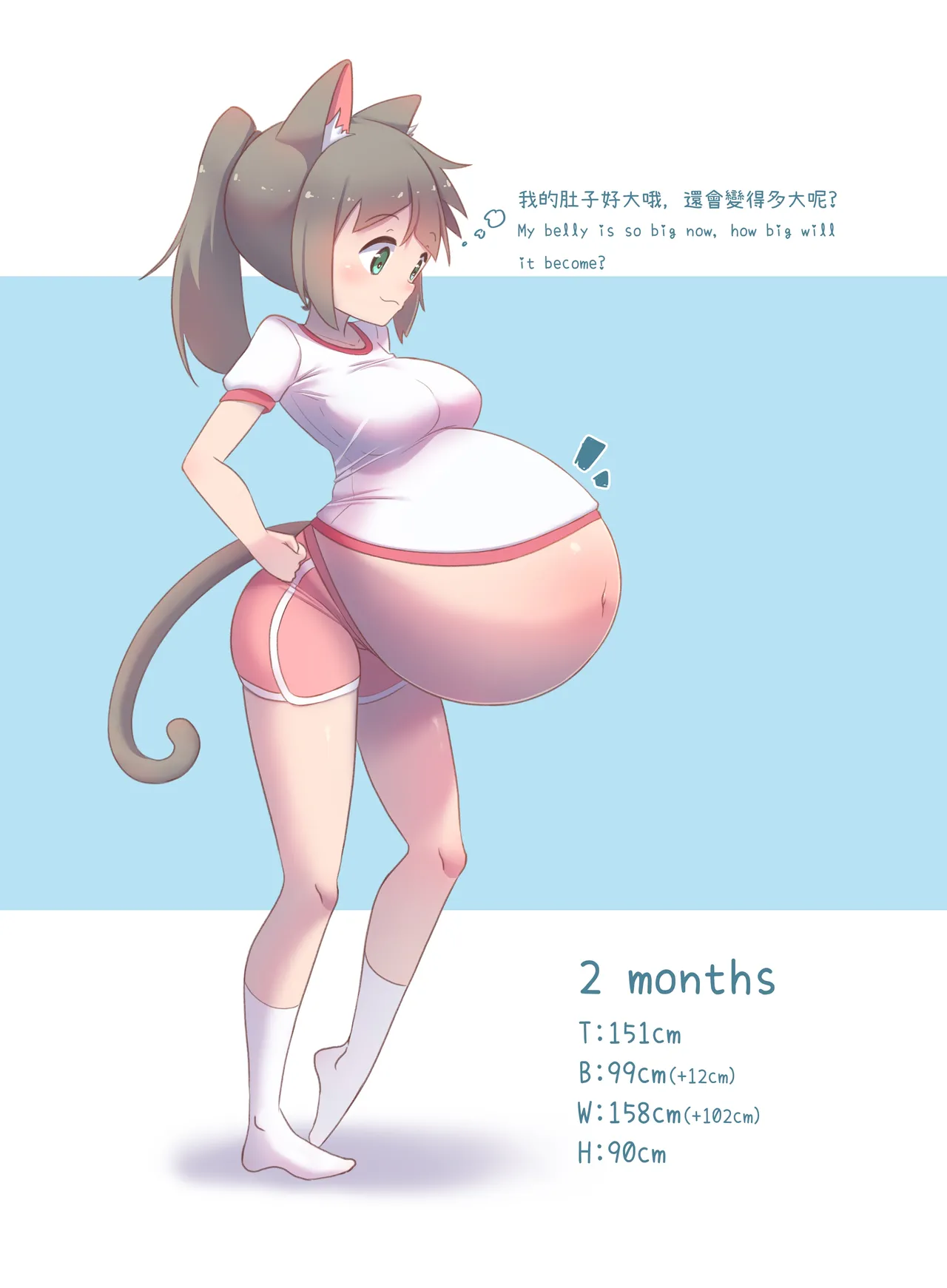 CatChan's Pregnancy Observation Record! 图片编号 4