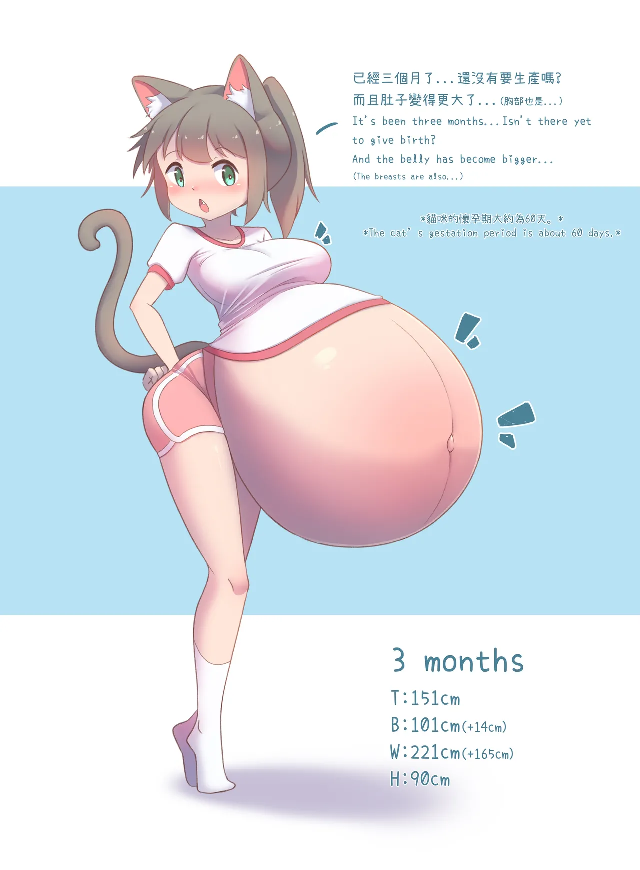 CatChan's Pregnancy Observation Record! 图片编号 6