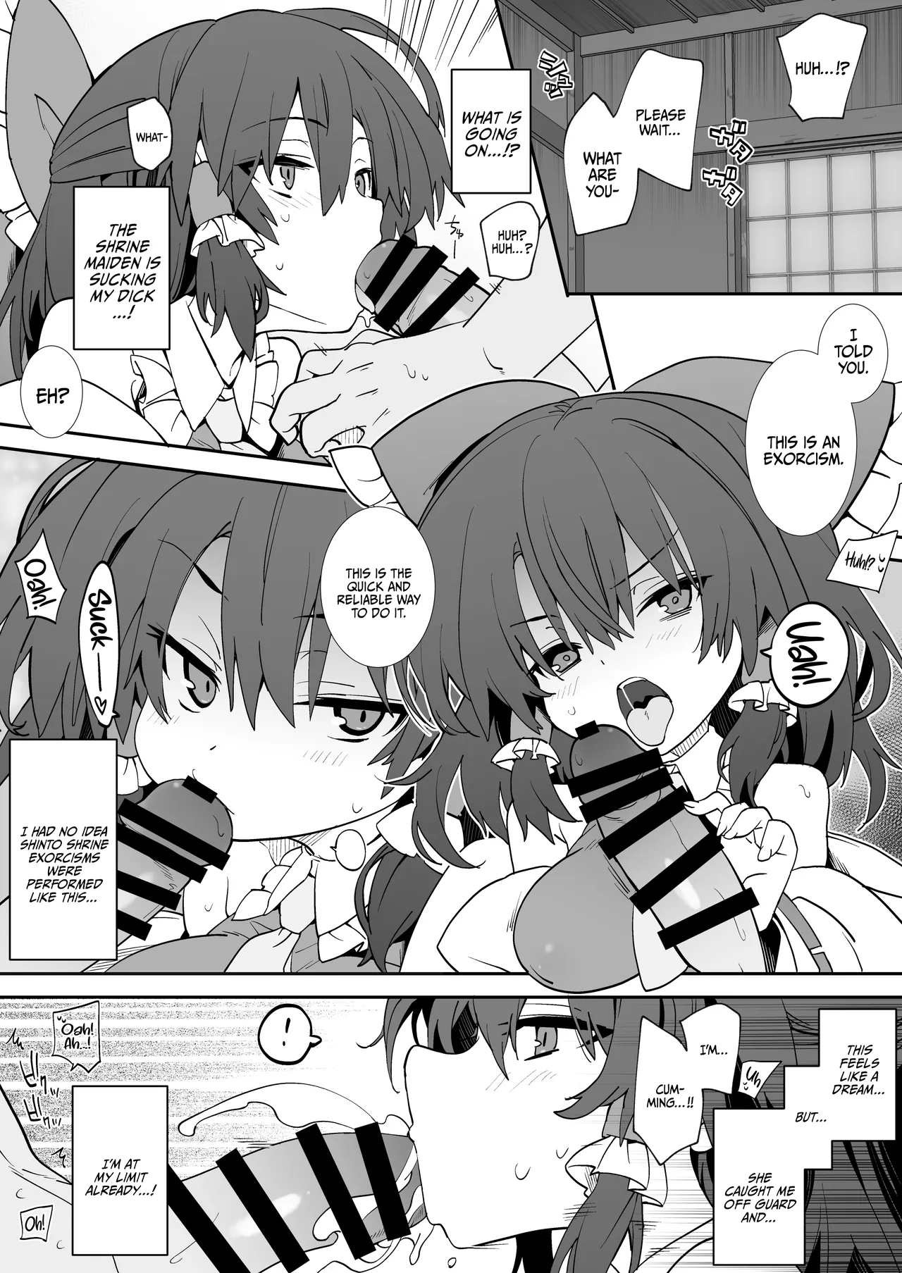 [Toriaezu(kari) (Tororo)] Anta Tsuiteru wayo | You're In Luck (Touhou Project) [English] {Doujins.com} [Digital] 图片编号 3