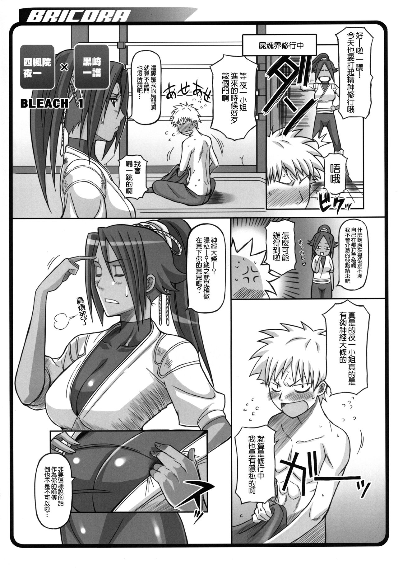 [Diogenes Club (Haikawa Hemlen)] BRICOLA (BRICOLA Soushuuhen) (Bleach) [Chinese] [零星汉化组] [Digital] 이미지 번호 2