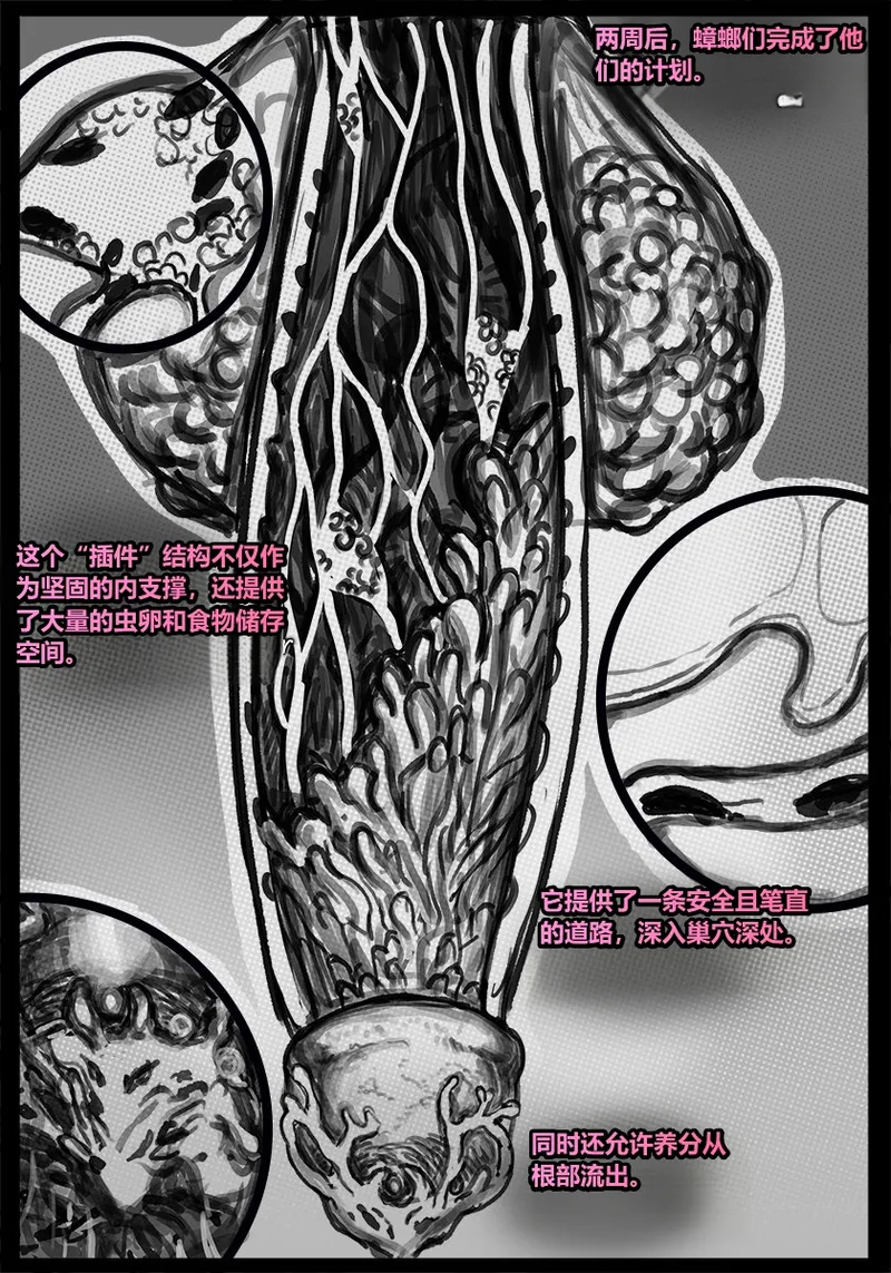 [Qusia] 请让鸡鸡远离虫子！(重口虫子慎入)Please keep your penis away from bugs! Bildnummer 55