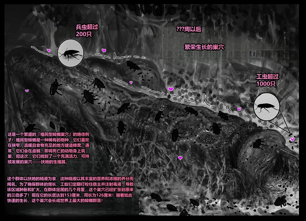 [Qusia] 请让鸡鸡远离虫子！(重口虫子慎入)Please keep your penis away from bugs! Bildnummer 66