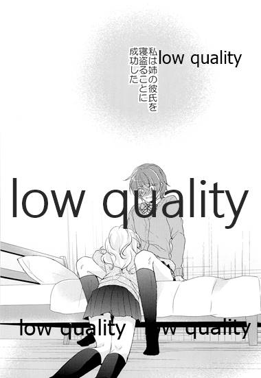 (COMITIA 112) [Mousou o Trunk ni Tsumete (Tokei)] Ane no Koibito (Josou Danshi) Netotte Yatta Bildnummer 7