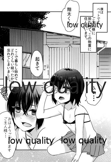 (C88) [27 (Fujitsuna)] Shounen Shiiku Nikki 19eme image