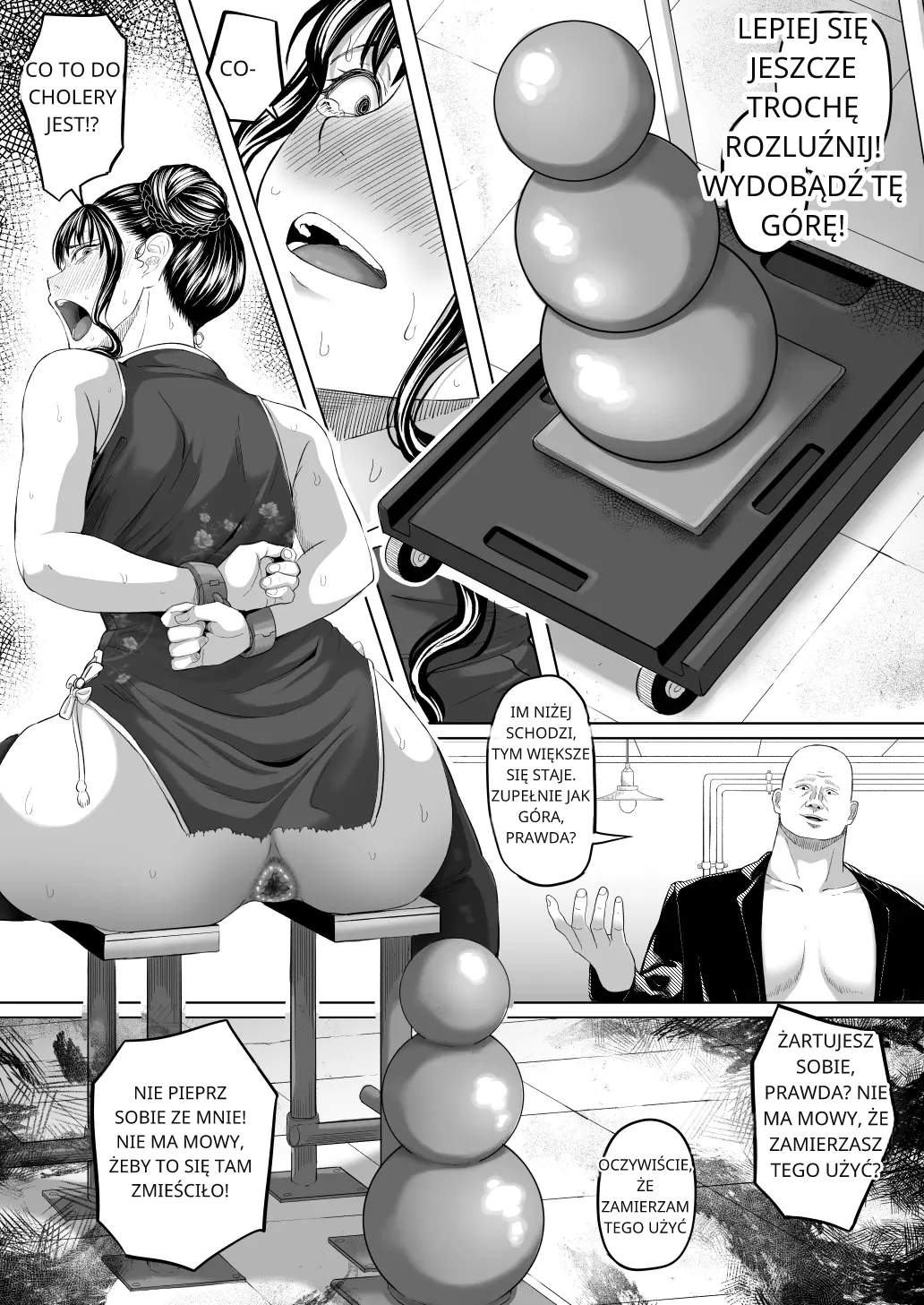 Shiriana Benjo Kai [polski] [torii translate] 图片编号 26