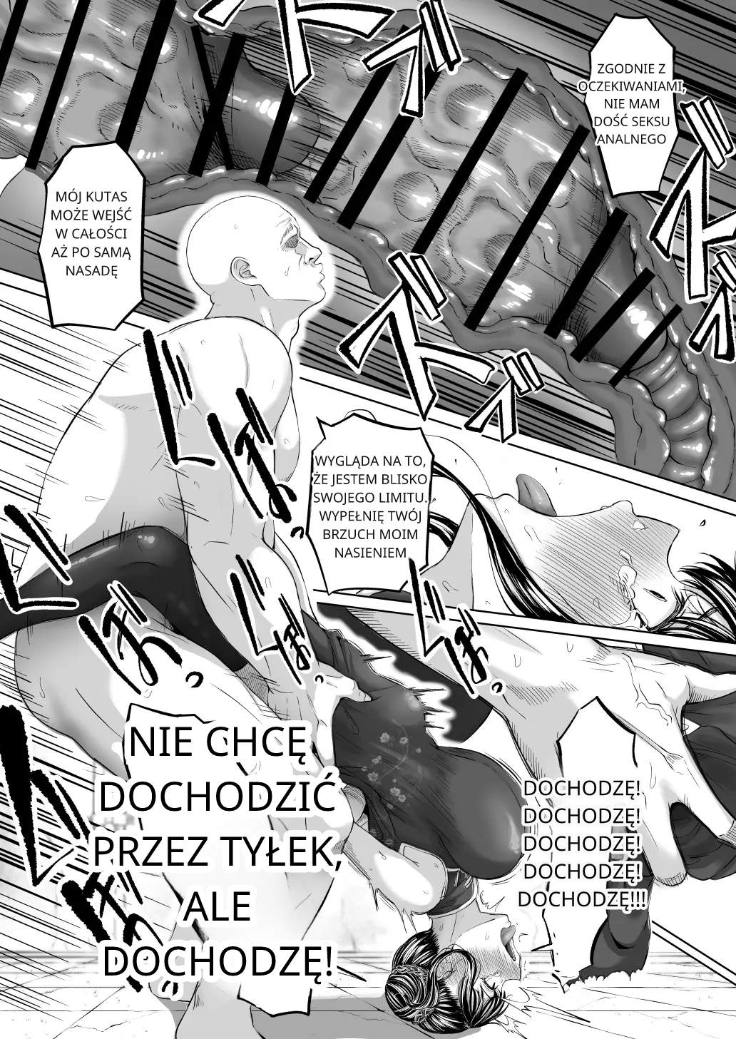 Shiriana Benjo Kai [polski] [torii translate] 图片编号 41