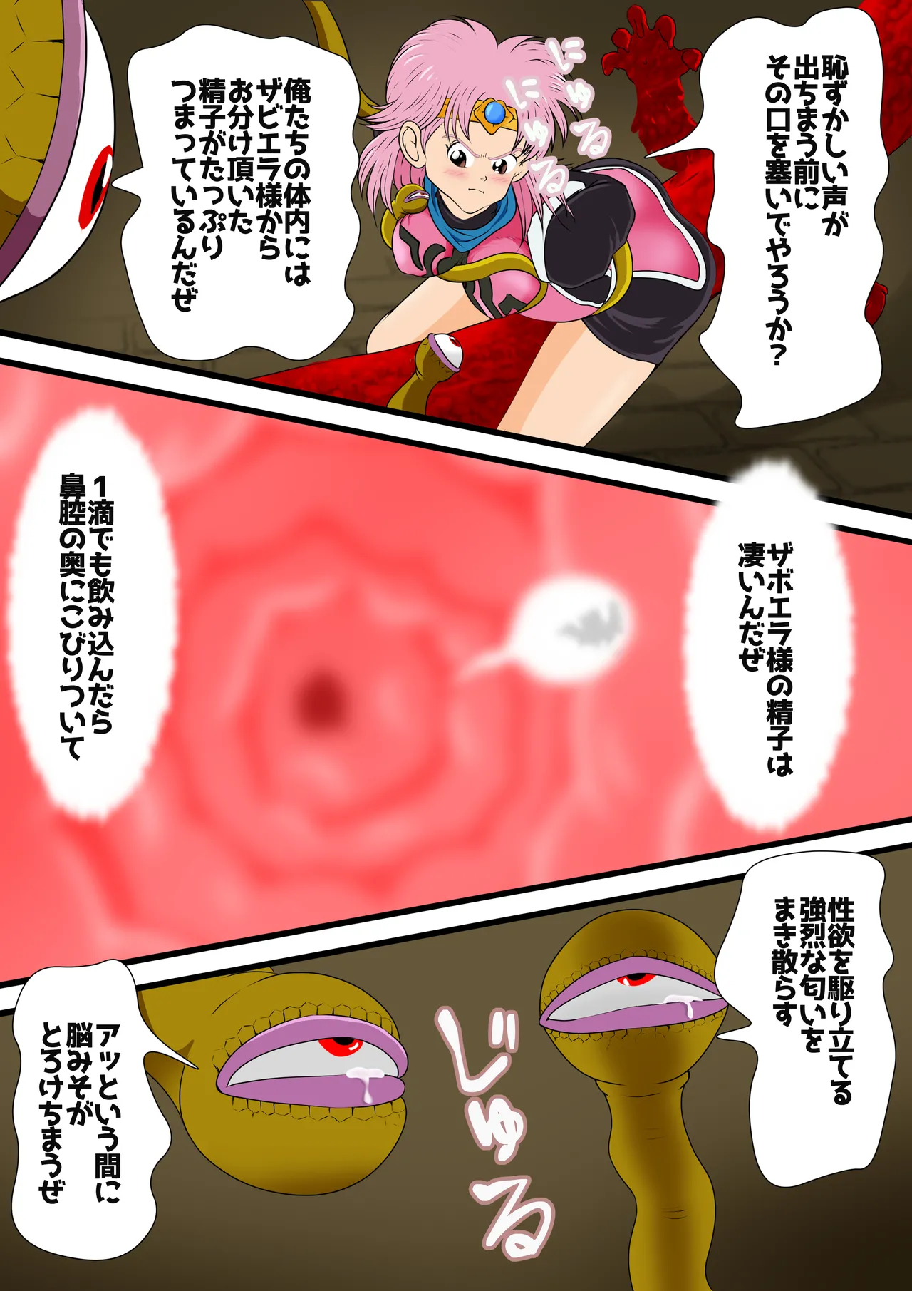 [2次透け] 性欲に溺れるまで100ぺージ以上 絶対落ちない僧侶戦士を淫乱屈服 最初の21ページ (ドラゴンクエスト ダイの大冒険) image number 16