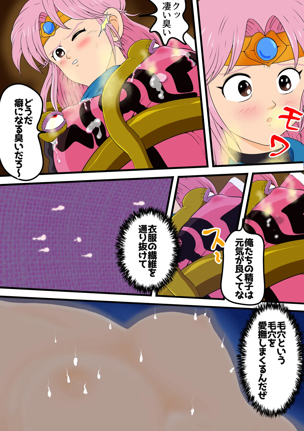 [2次透け] 性欲に溺れるまで100ぺージ以上 絶対落ちない僧侶戦士を淫乱屈服 最初の21ページ (ドラゴンクエスト ダイの大冒険) image number 21