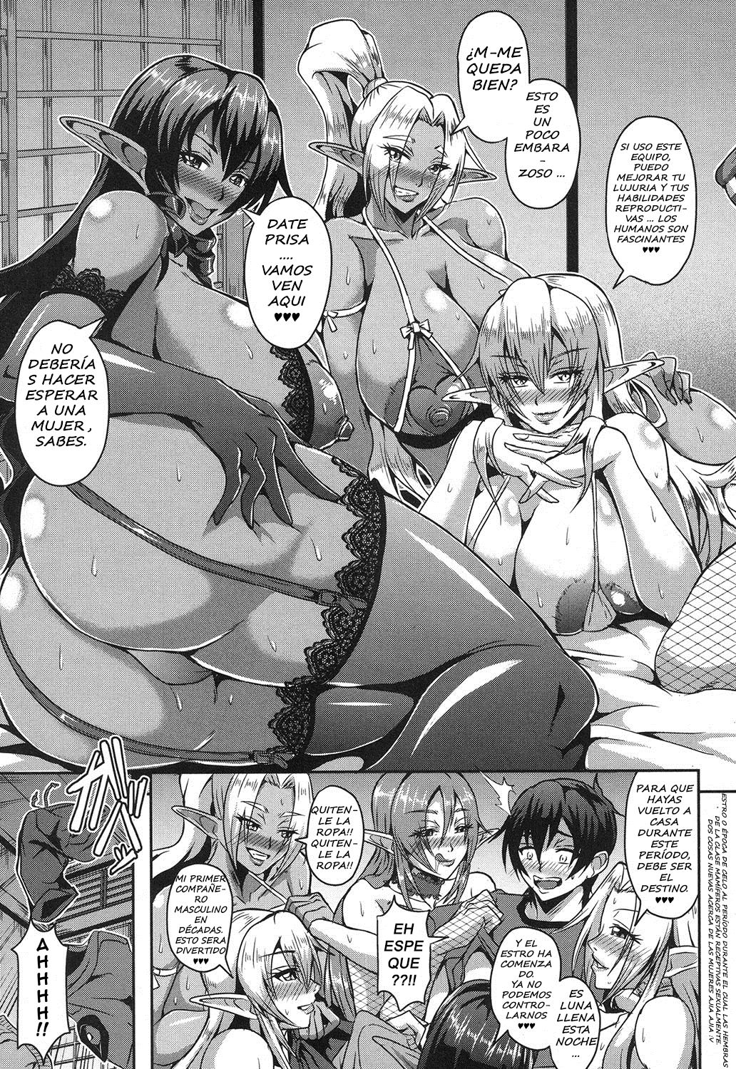 Elf Harem no mori to kozukuri numero di immagine  11