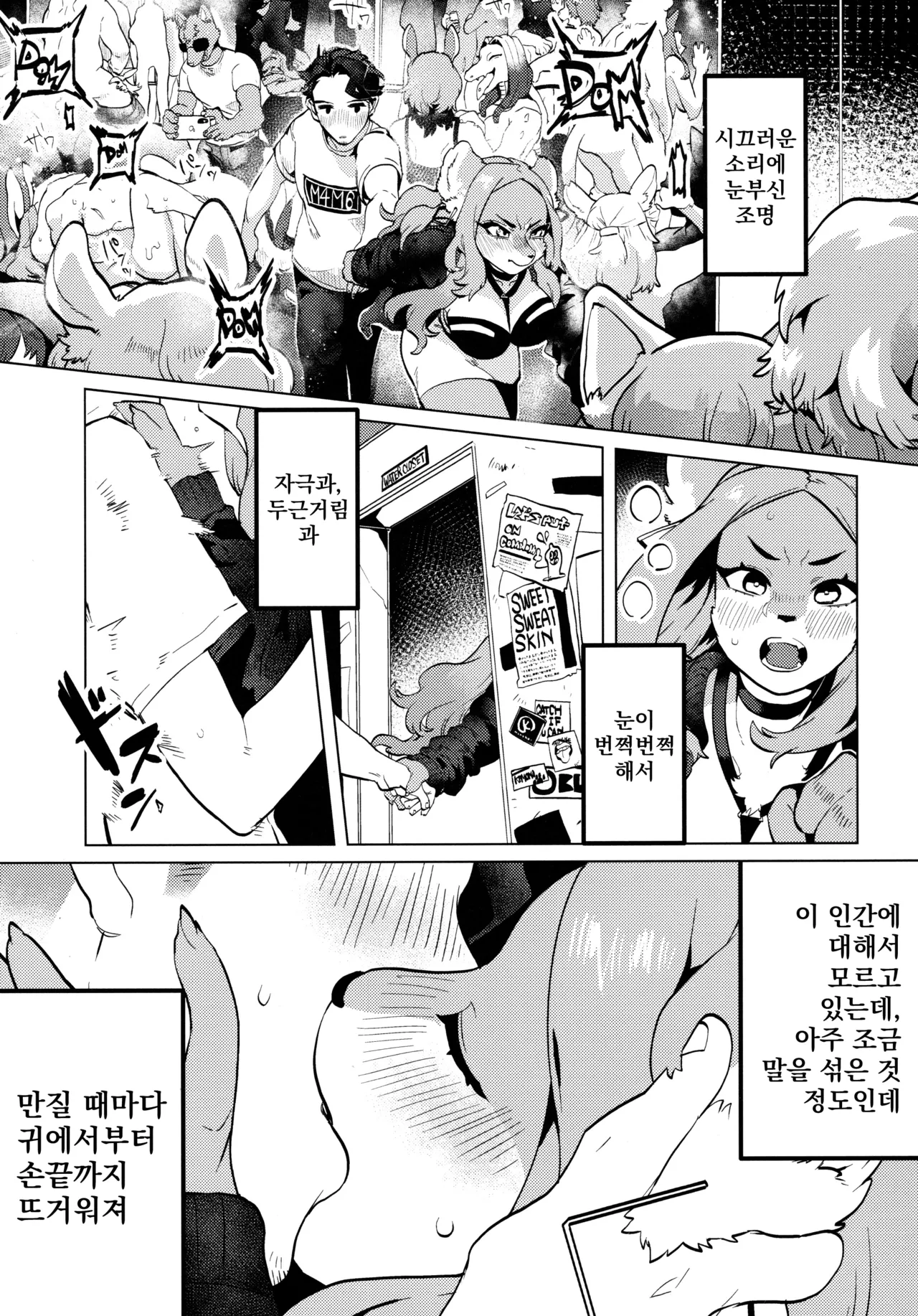 (Kemoket 10) [Okett (Teko)] ELECTRONICDANCEMUSIC [Korean] 图片编号 11