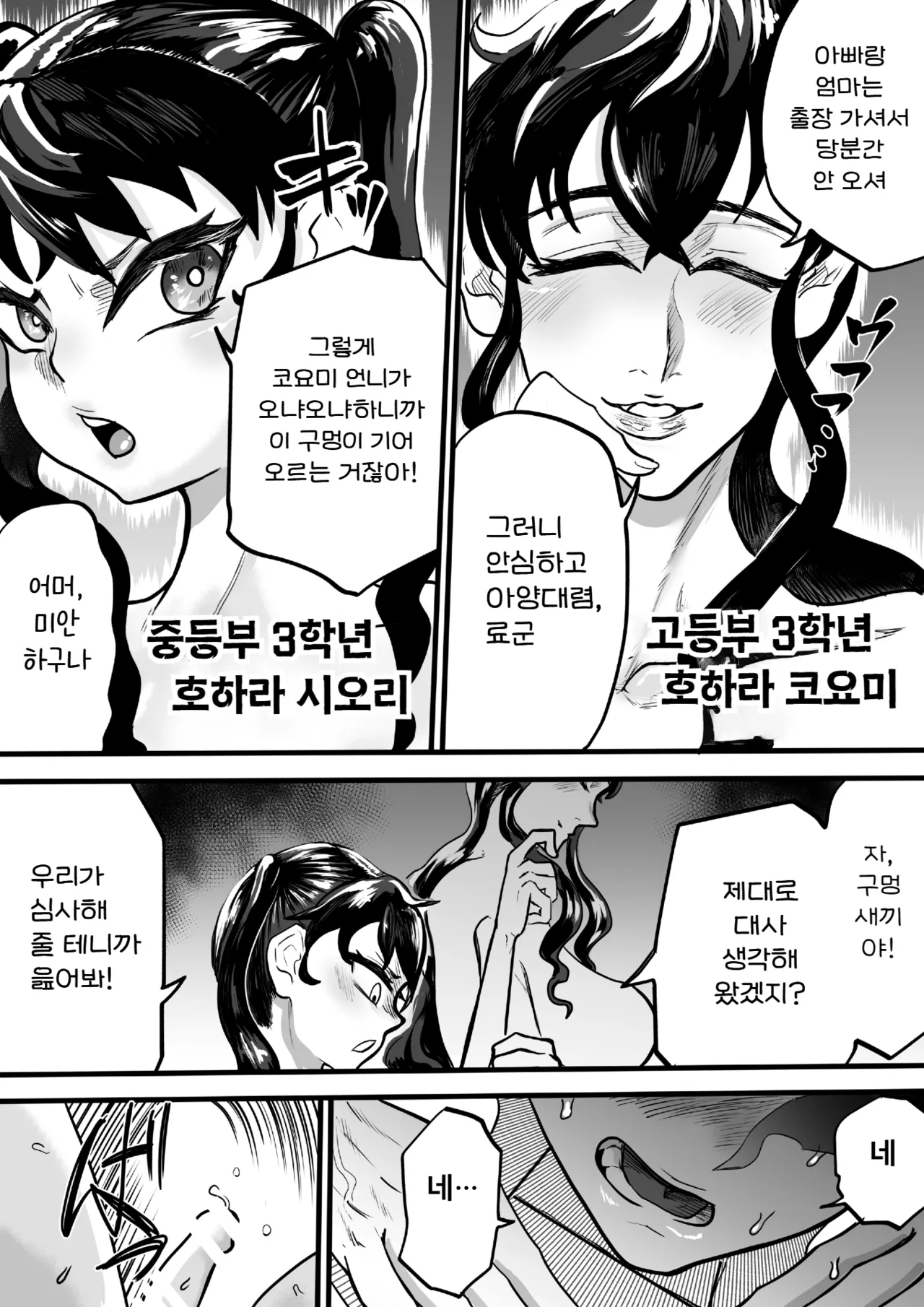 [Entaku Seisouin] Futari wa Futanari Boku to Ane to Imouto no Himitsu no Kankei  | 두 사람은 후타나리 나와 누나와 여동생의 비밀스런 관계 [Korean] [진격펀치] 图片编号 6