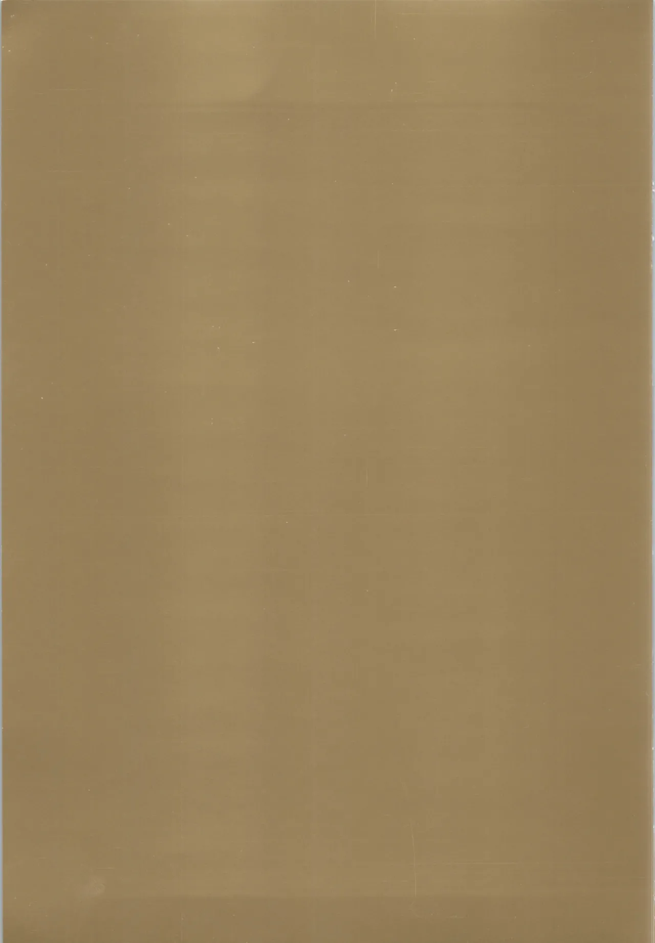 [Koge Koge House (Koge Donbo)] SAI☆TSUYO! SPECIAL BOOK Bildnummer 49