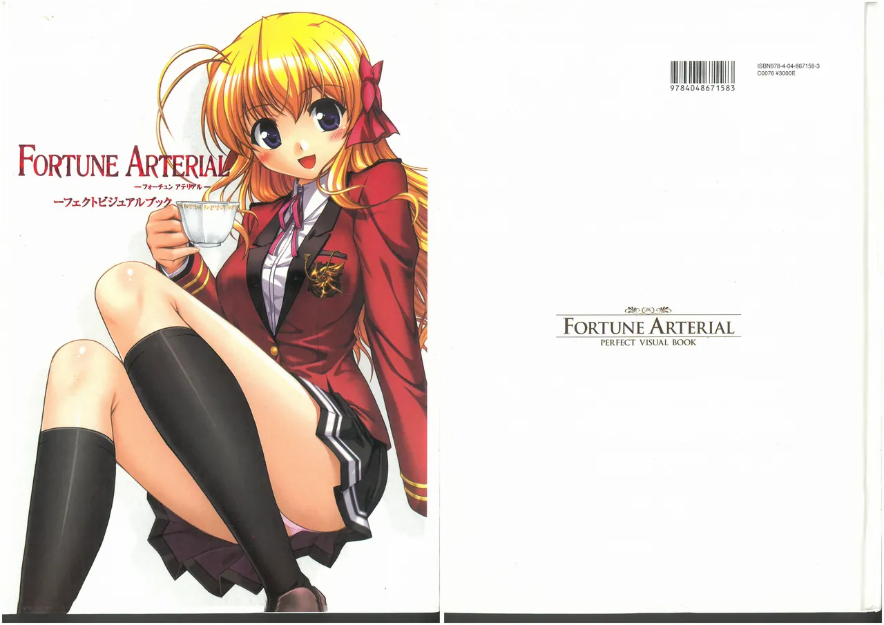 FORTUNE ARTERIAL PERFECT VISUAL BOOK 图片编号 1