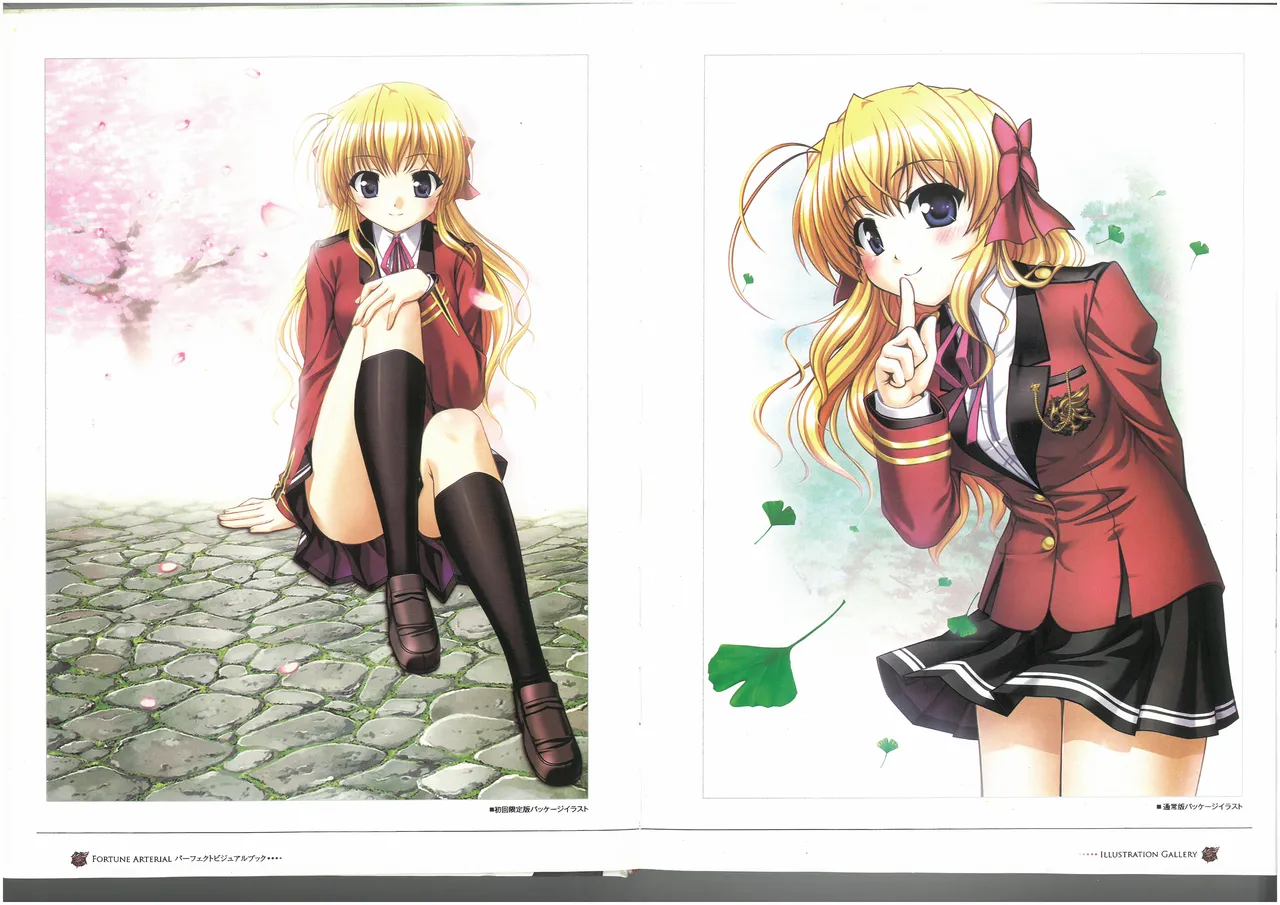 FORTUNE ARTERIAL PERFECT VISUAL BOOK 图片编号 4