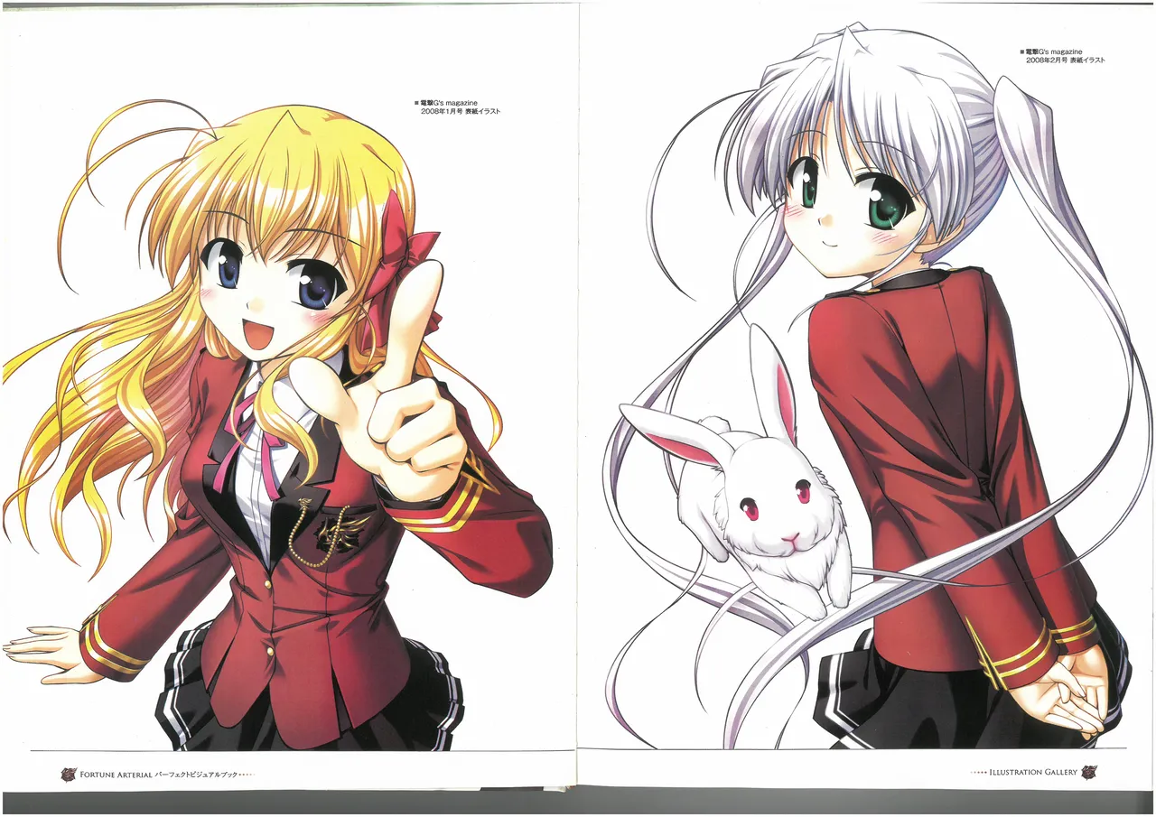 FORTUNE ARTERIAL PERFECT VISUAL BOOK 图片编号 5