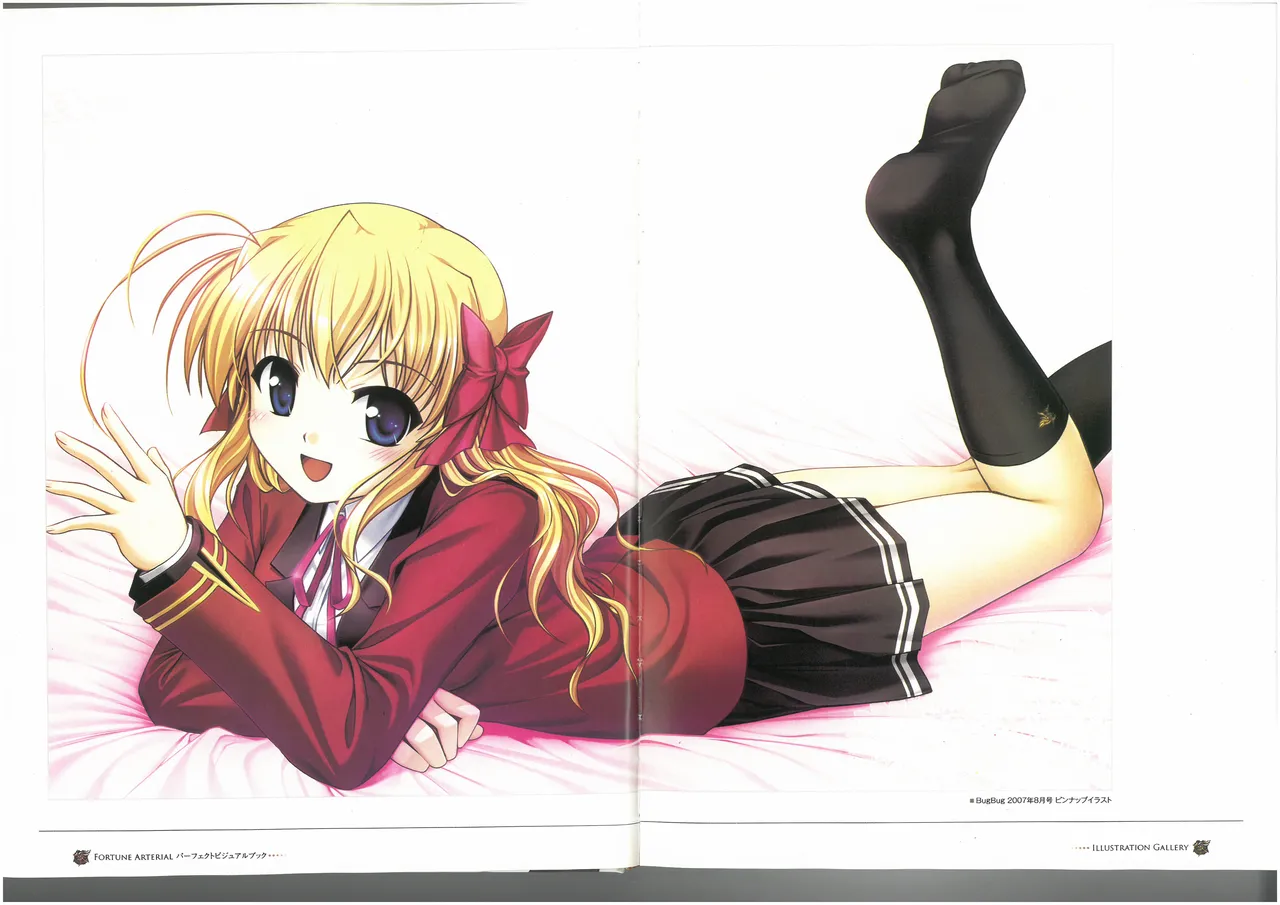 FORTUNE ARTERIAL PERFECT VISUAL BOOK 图片编号 10
