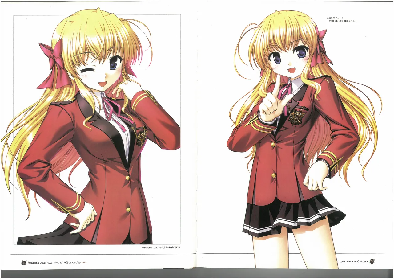 FORTUNE ARTERIAL PERFECT VISUAL BOOK 图片编号 11