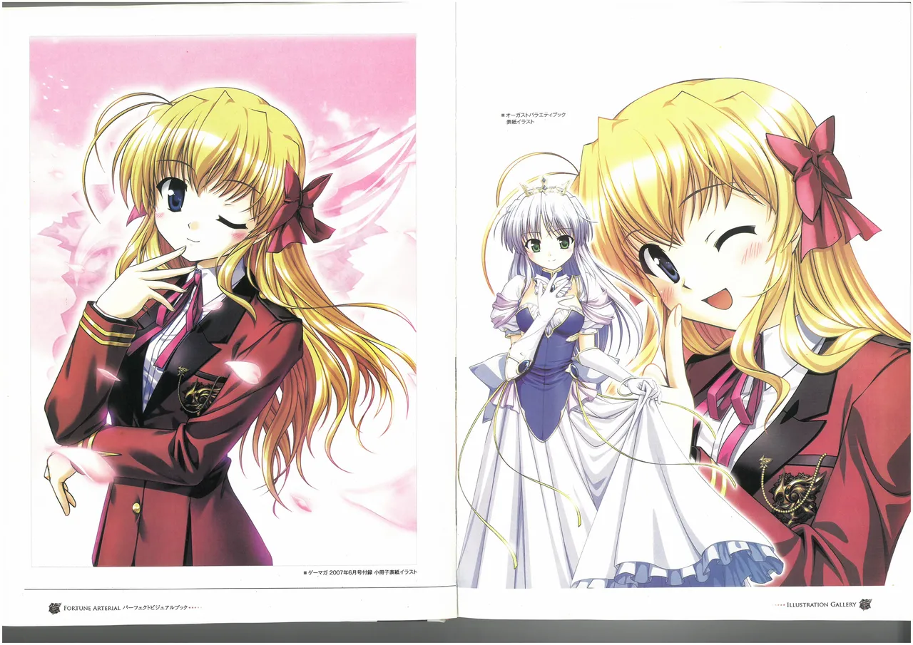 FORTUNE ARTERIAL PERFECT VISUAL BOOK 图片编号 12