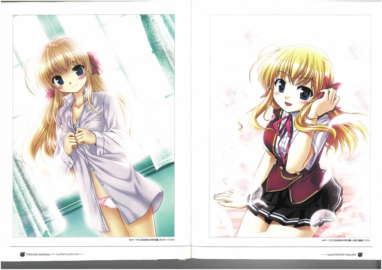 FORTUNE ARTERIAL PERFECT VISUAL BOOK 图片编号 13