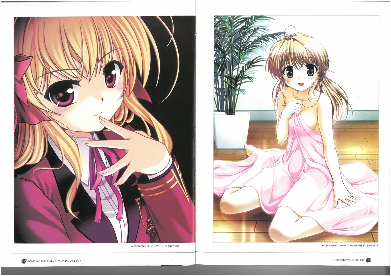 FORTUNE ARTERIAL PERFECT VISUAL BOOK 图片编号 14