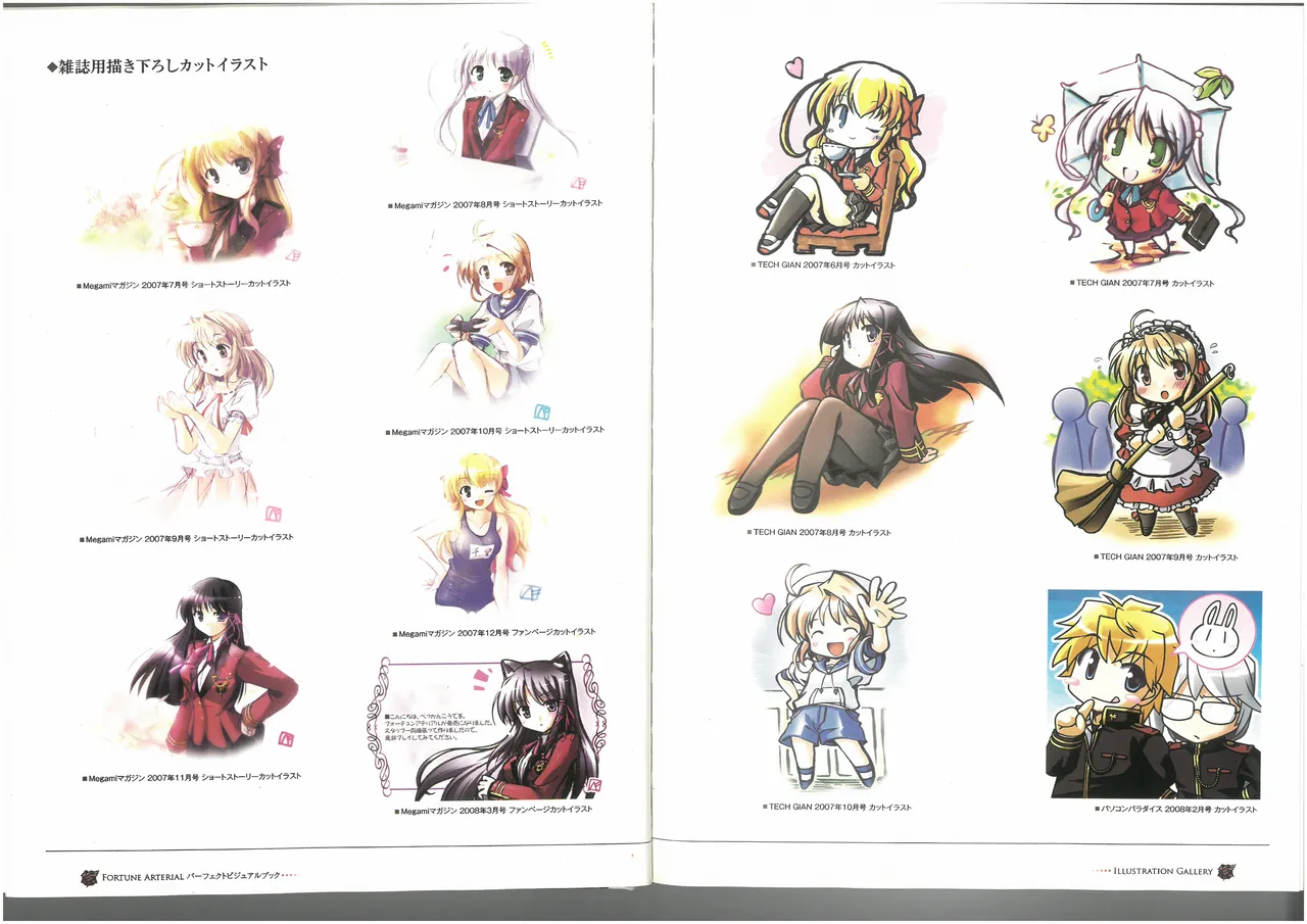 FORTUNE ARTERIAL PERFECT VISUAL BOOK 图片编号 15