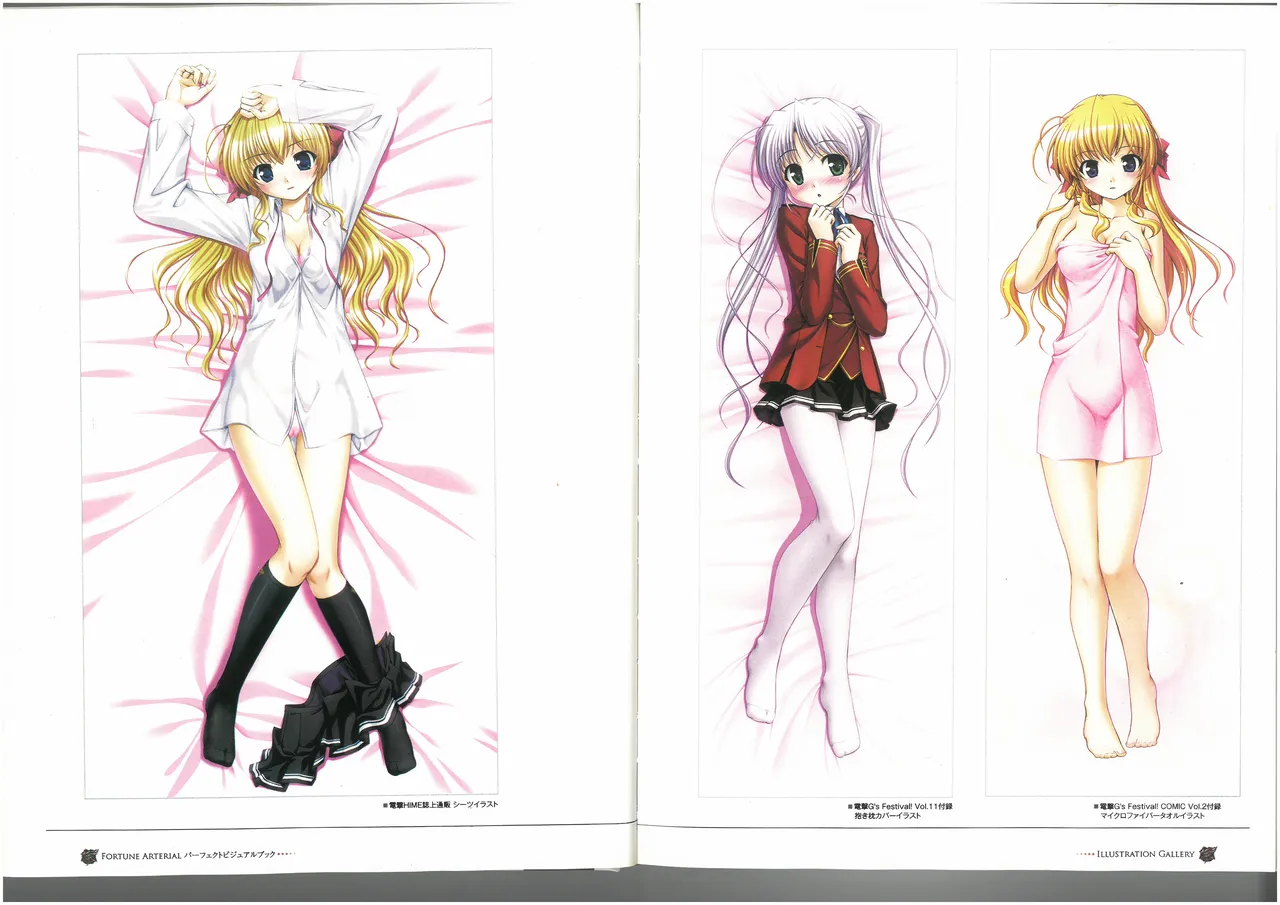 FORTUNE ARTERIAL PERFECT VISUAL BOOK 图片编号 16