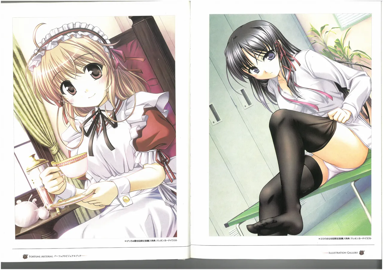 FORTUNE ARTERIAL PERFECT VISUAL BOOK 图片编号 17