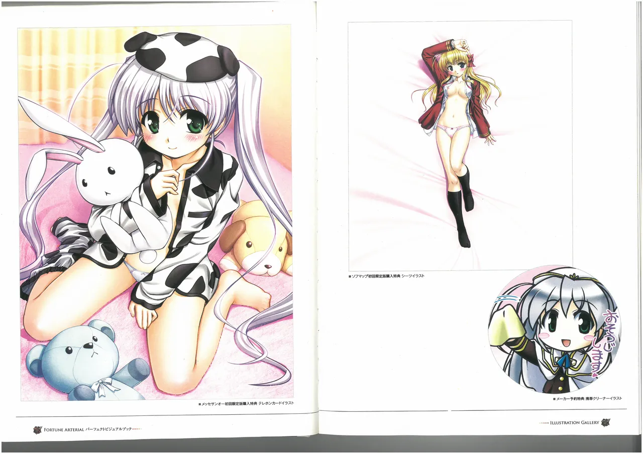FORTUNE ARTERIAL PERFECT VISUAL BOOK 图片编号 18