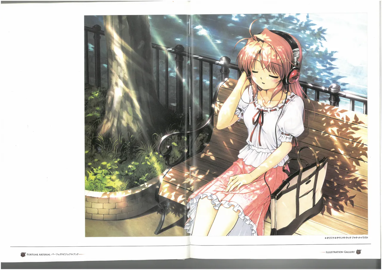 FORTUNE ARTERIAL PERFECT VISUAL BOOK 图片编号 19