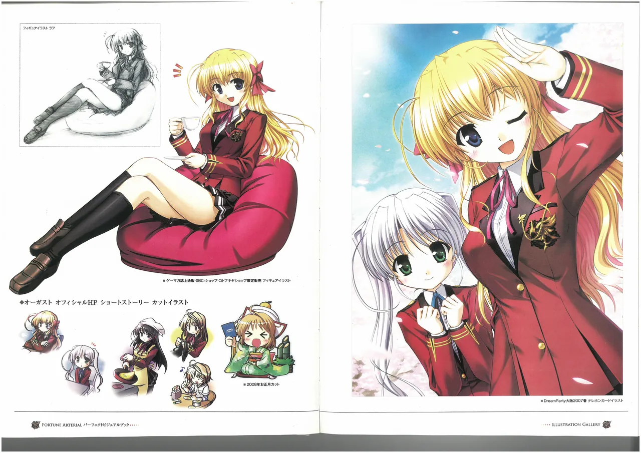 FORTUNE ARTERIAL PERFECT VISUAL BOOK 图片编号 20