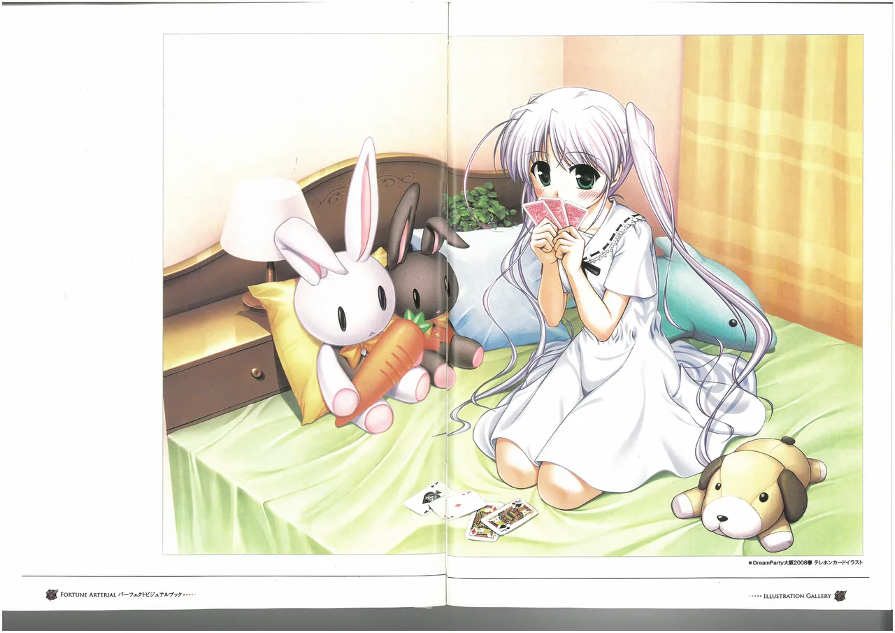 FORTUNE ARTERIAL PERFECT VISUAL BOOK 图片编号 21