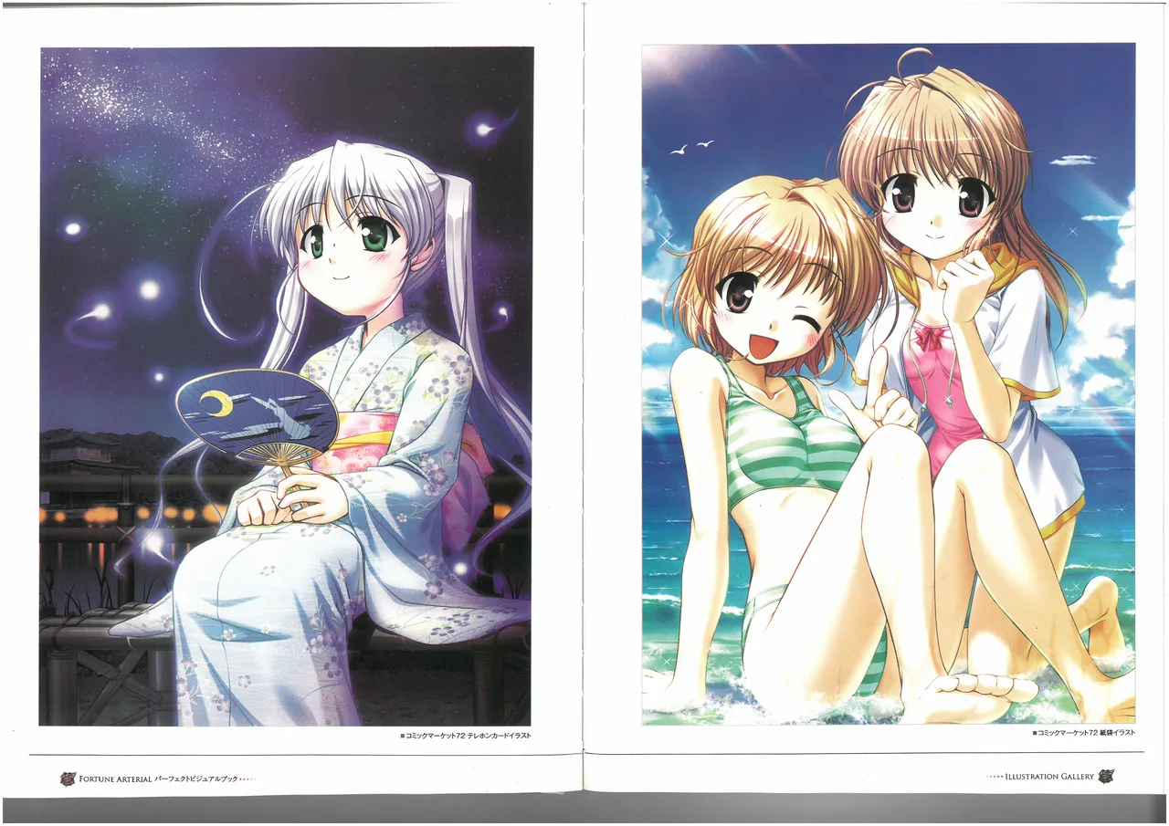 FORTUNE ARTERIAL PERFECT VISUAL BOOK 图片编号 22