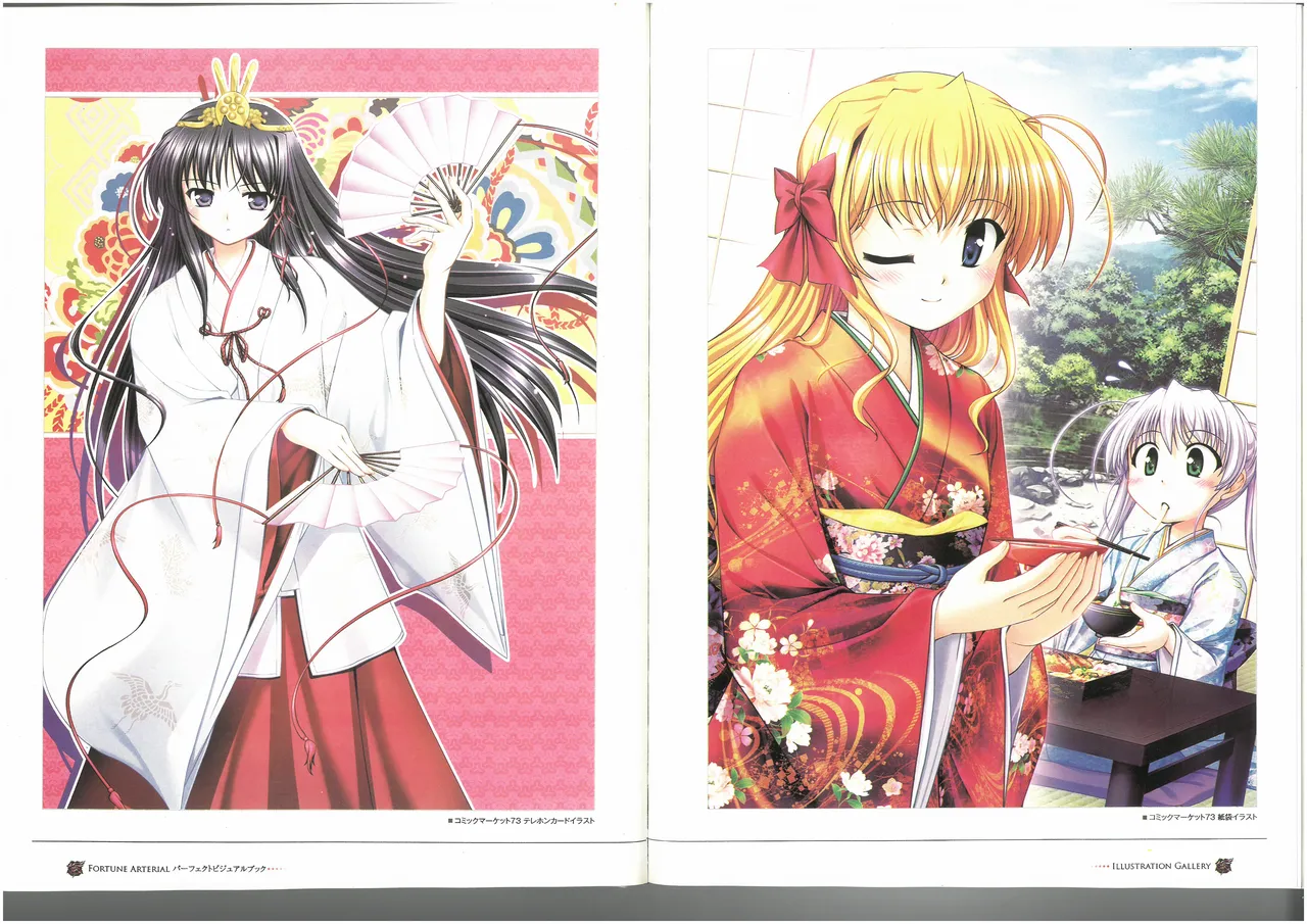 FORTUNE ARTERIAL PERFECT VISUAL BOOK 图片编号 23