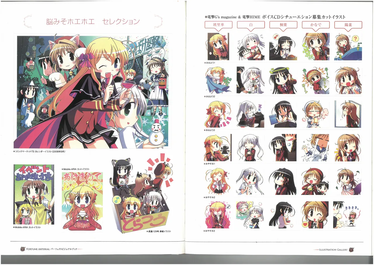 FORTUNE ARTERIAL PERFECT VISUAL BOOK 图片编号 24