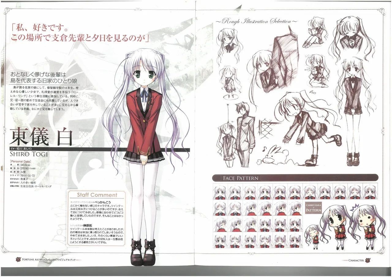 FORTUNE ARTERIAL PERFECT VISUAL BOOK 图片编号 28