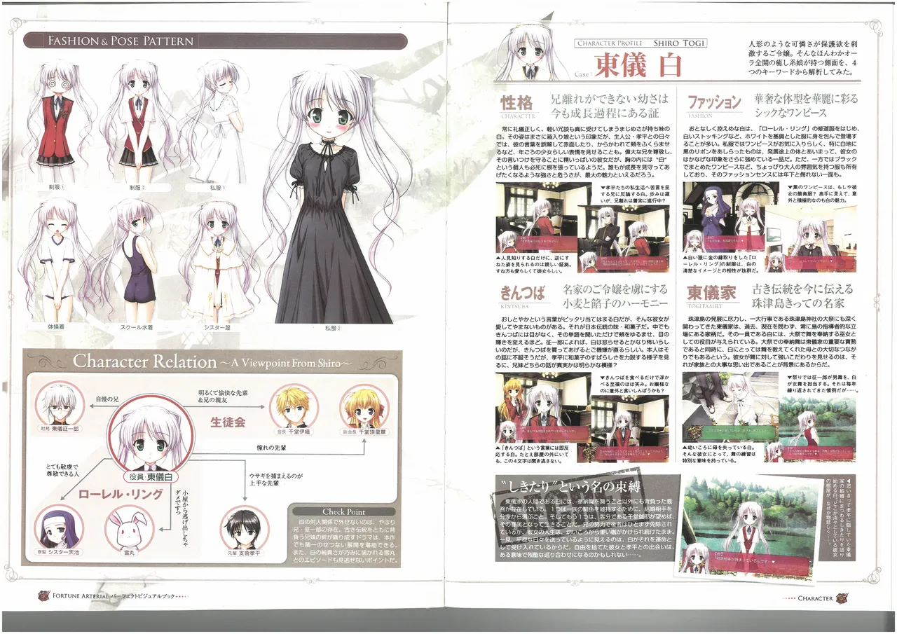 FORTUNE ARTERIAL PERFECT VISUAL BOOK 图片编号 29