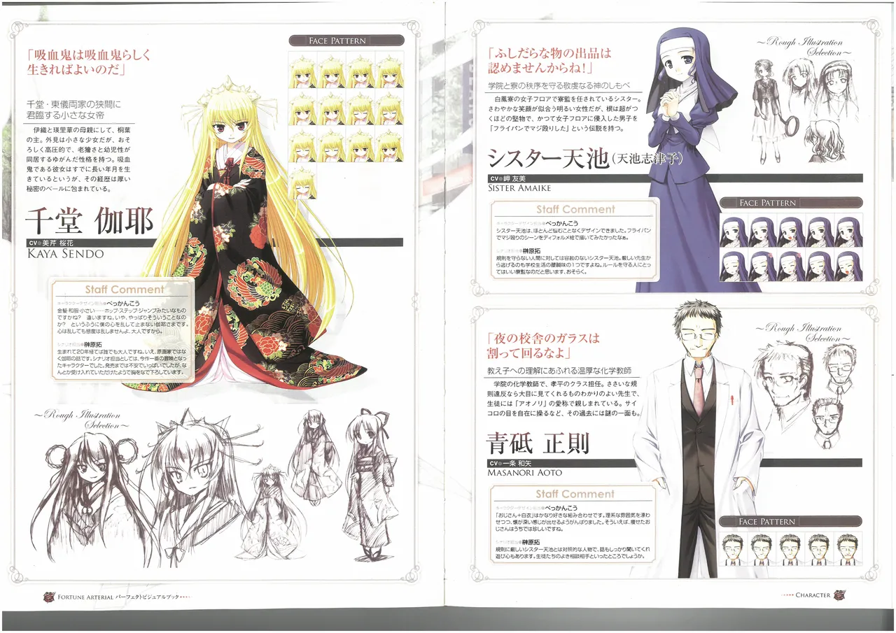 FORTUNE ARTERIAL PERFECT VISUAL BOOK 图片编号 38