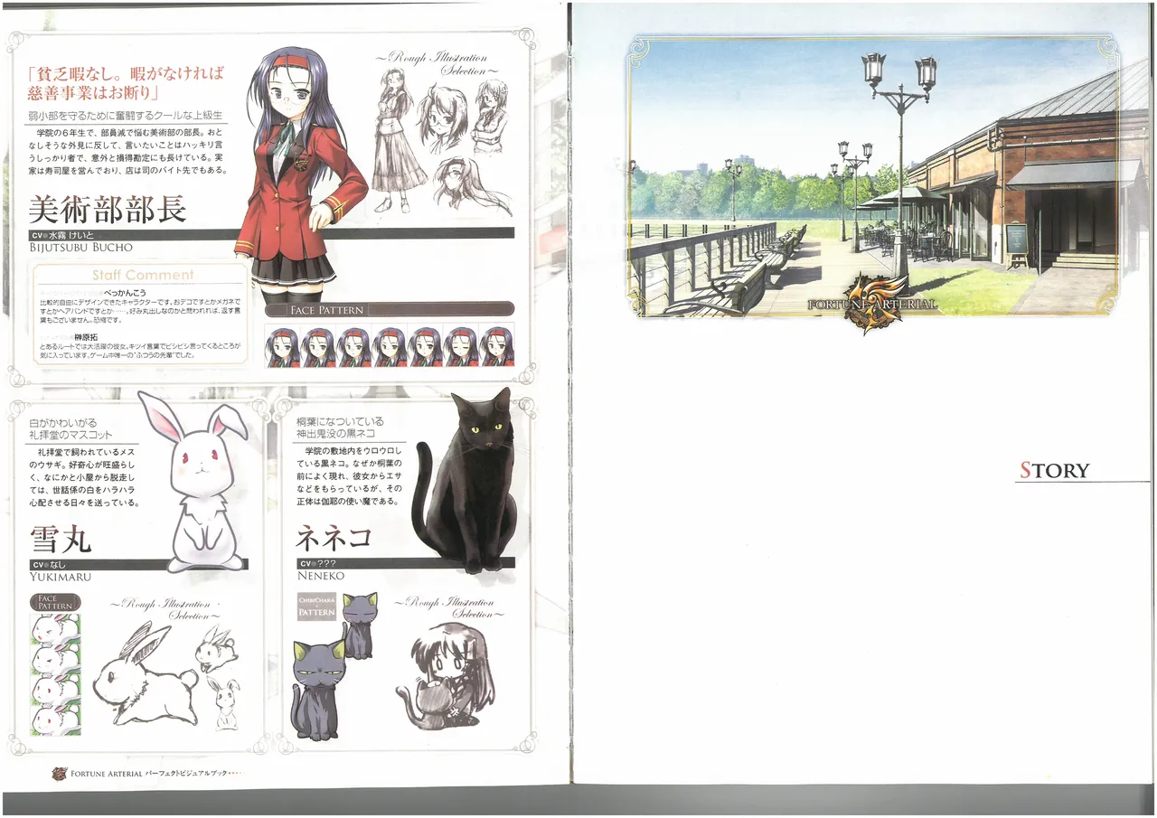 FORTUNE ARTERIAL PERFECT VISUAL BOOK 图片编号 39