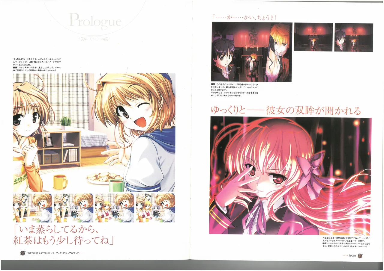 FORTUNE ARTERIAL PERFECT VISUAL BOOK 图片编号 40