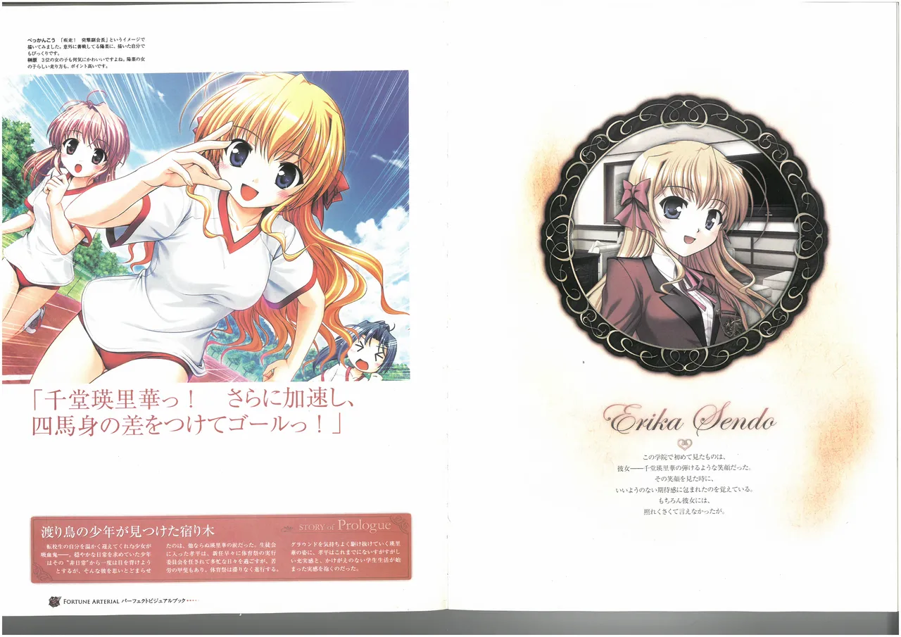 FORTUNE ARTERIAL PERFECT VISUAL BOOK 图片编号 41