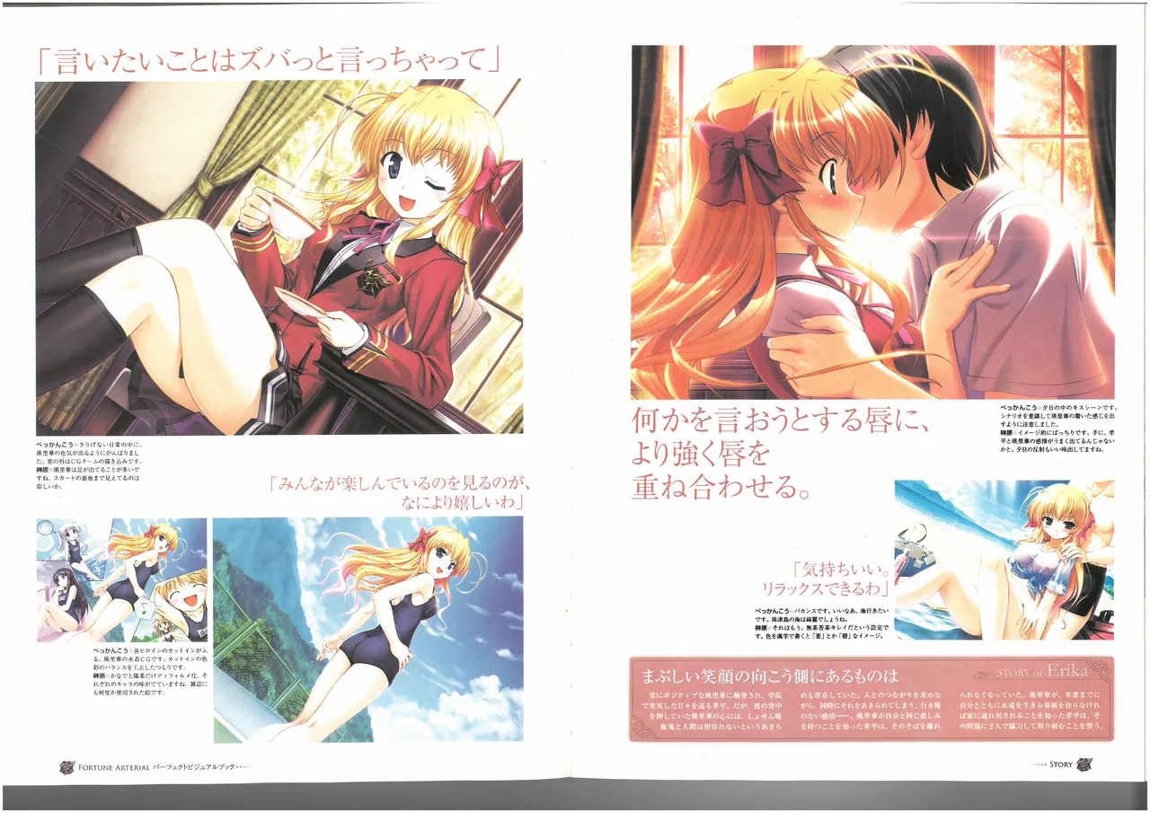 FORTUNE ARTERIAL PERFECT VISUAL BOOK 图片编号 42