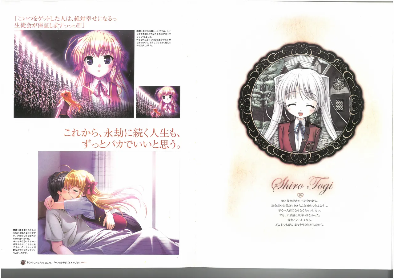 FORTUNE ARTERIAL PERFECT VISUAL BOOK 图片编号 43