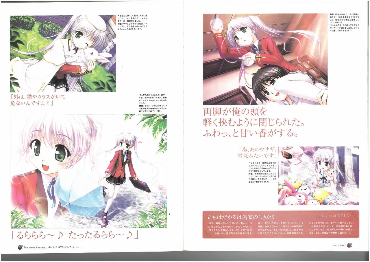 FORTUNE ARTERIAL PERFECT VISUAL BOOK 图片编号 44