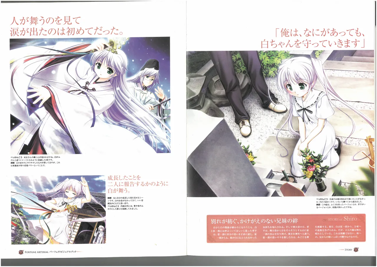 FORTUNE ARTERIAL PERFECT VISUAL BOOK 图片编号 45