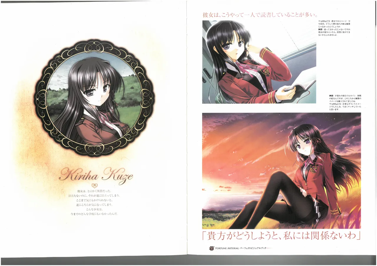 FORTUNE ARTERIAL PERFECT VISUAL BOOK 图片编号 46