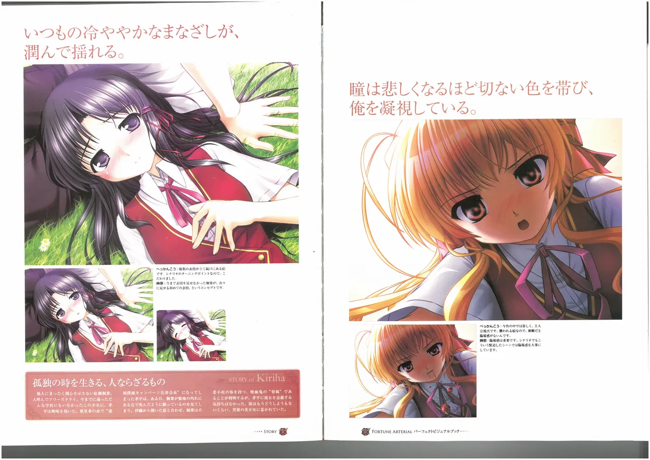 FORTUNE ARTERIAL PERFECT VISUAL BOOK 图片编号 47