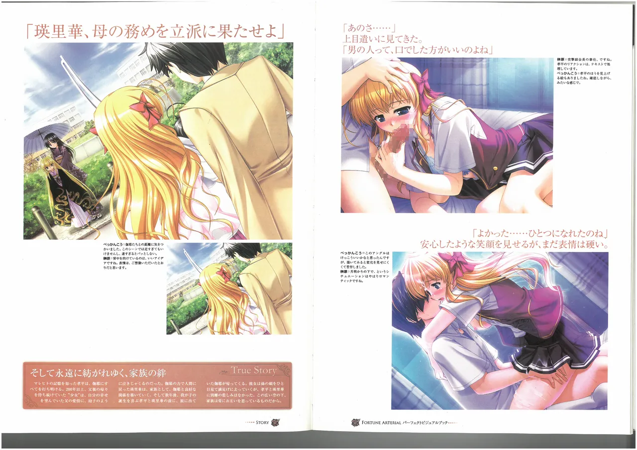 FORTUNE ARTERIAL PERFECT VISUAL BOOK 图片编号 49