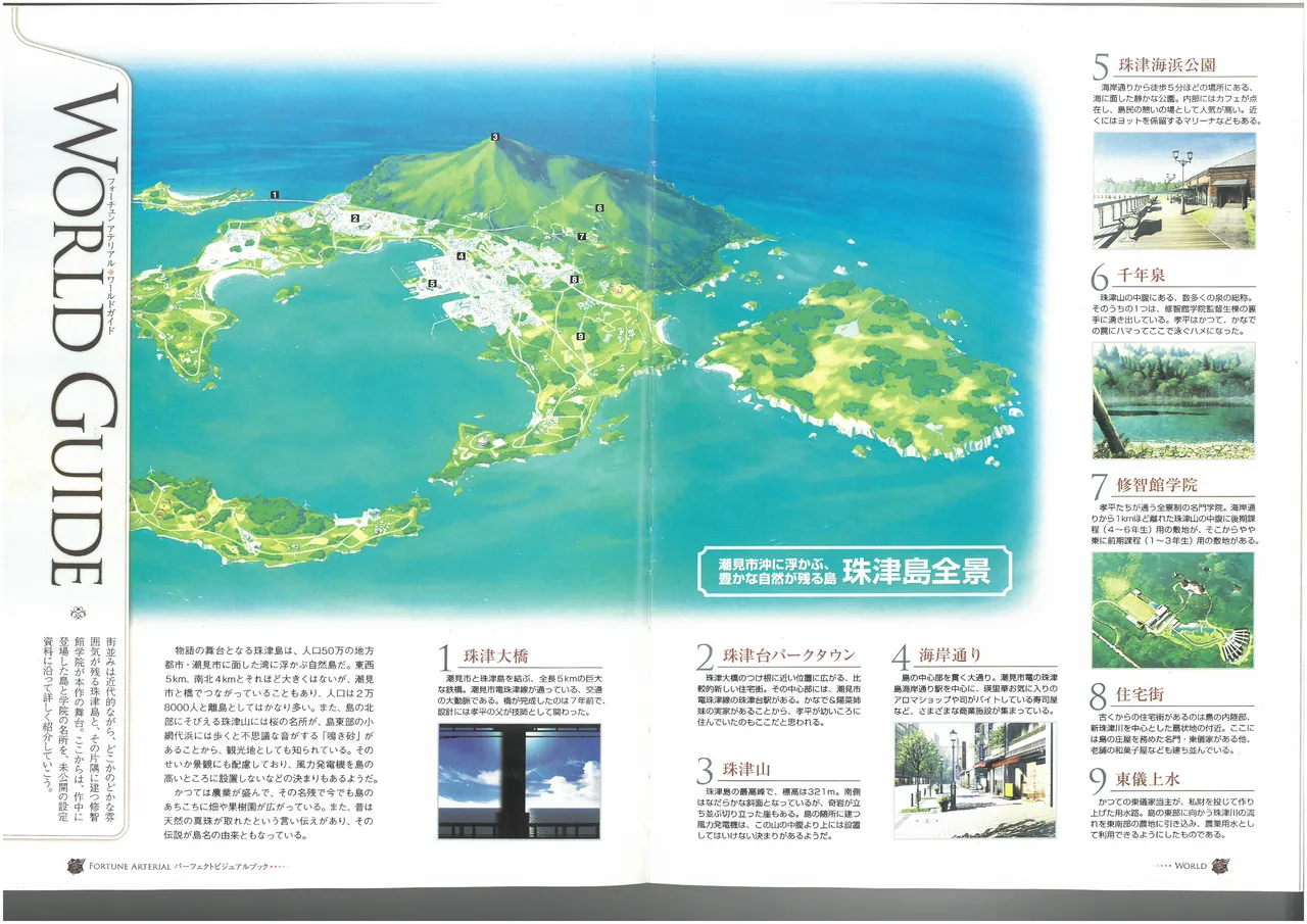 FORTUNE ARTERIAL PERFECT VISUAL BOOK 图片编号 50