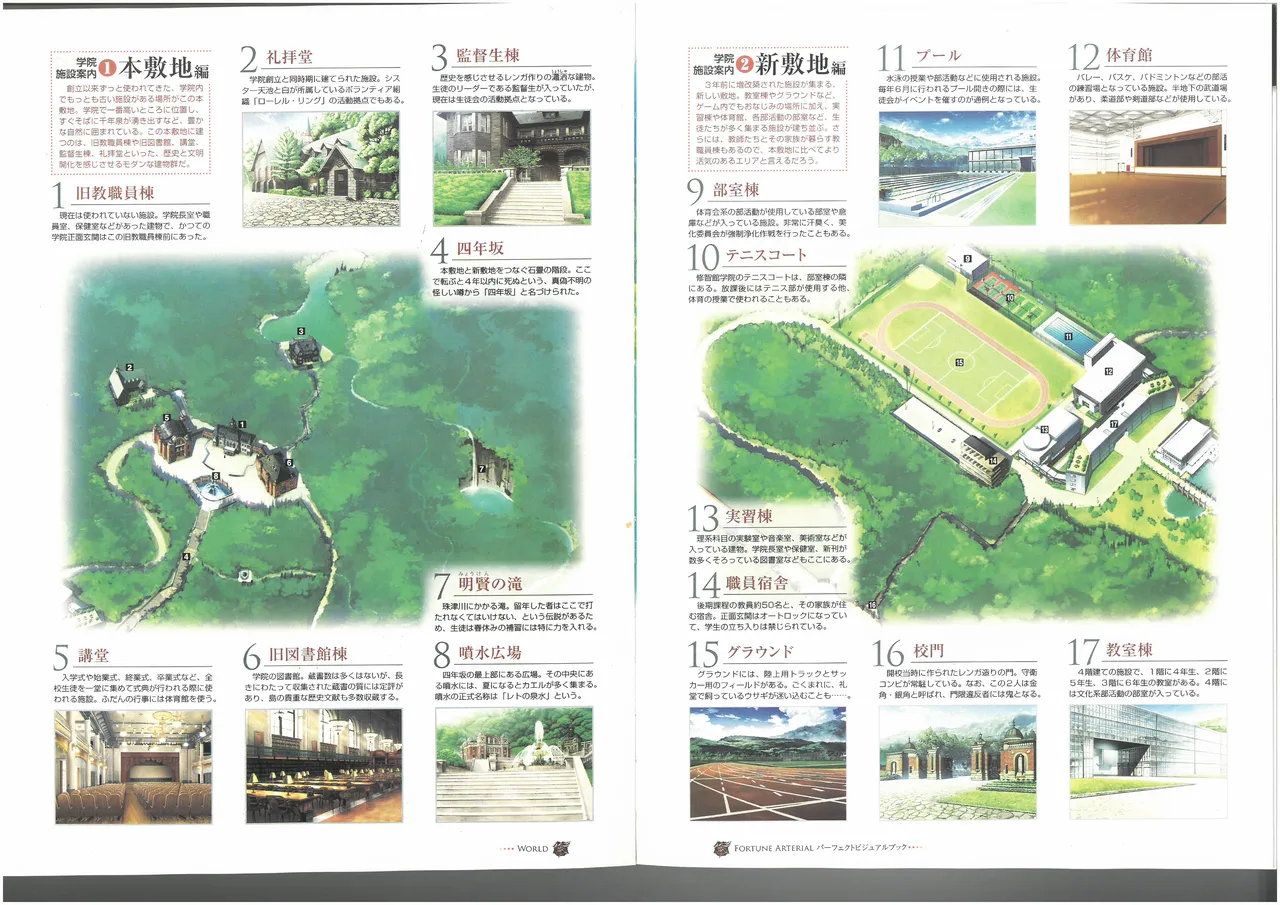 FORTUNE ARTERIAL PERFECT VISUAL BOOK 图片编号 52